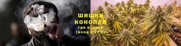ALPHA PVP Покачи