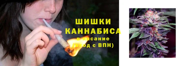 ALPHA PVP Покачи
