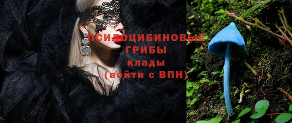 крисы Михайлов
