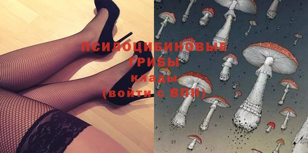 гидра Покров