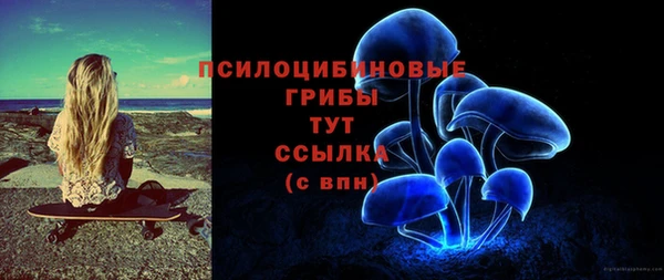 гидра Покров