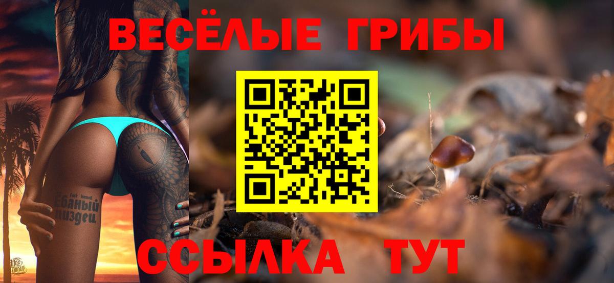 Галлюциногенные грибы MAGIC MUSHROOMS Кунгур